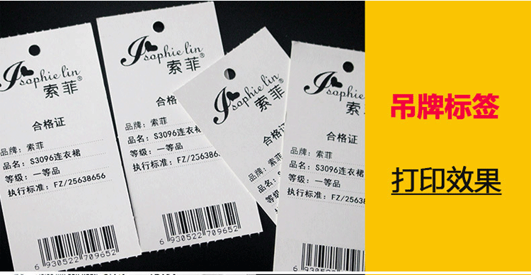 斑馬 ZEBRA 105SL PLUS工業(yè)型條碼打印機(jī) 二維碼標(biāo)簽打印機(jī) 不干膠標(biāo)簽打印機(jī) 300分辨率